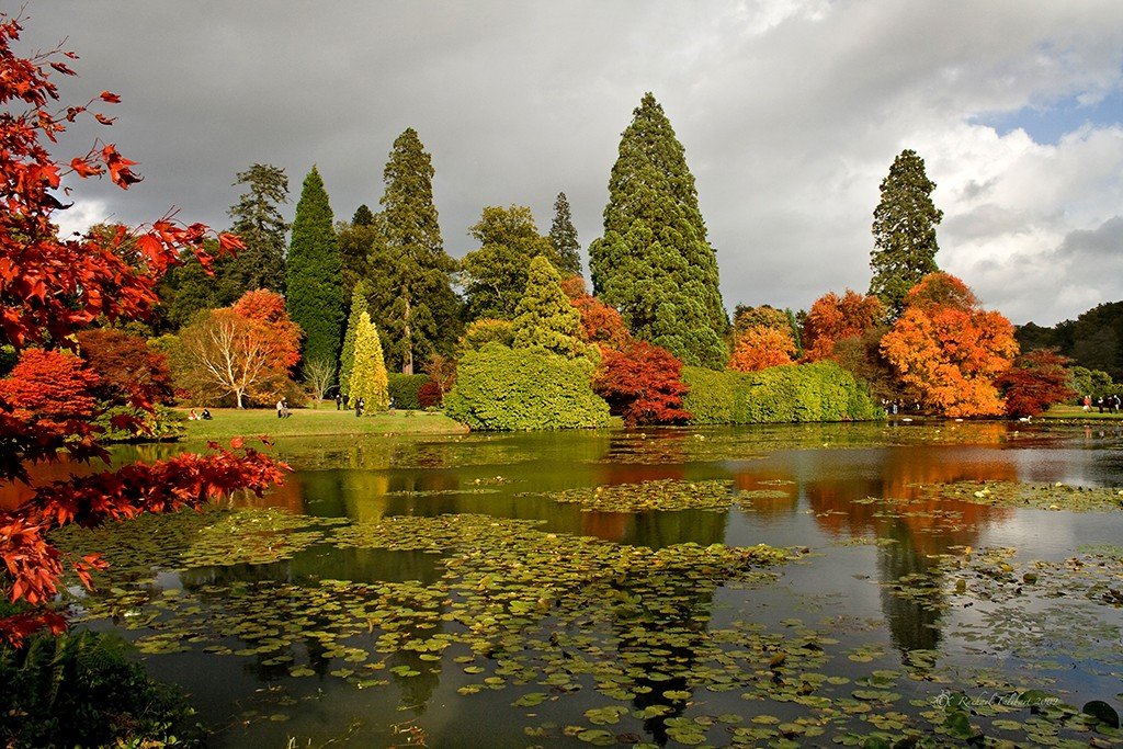The lake at Sheffield Park, reflections of Autumn foliage