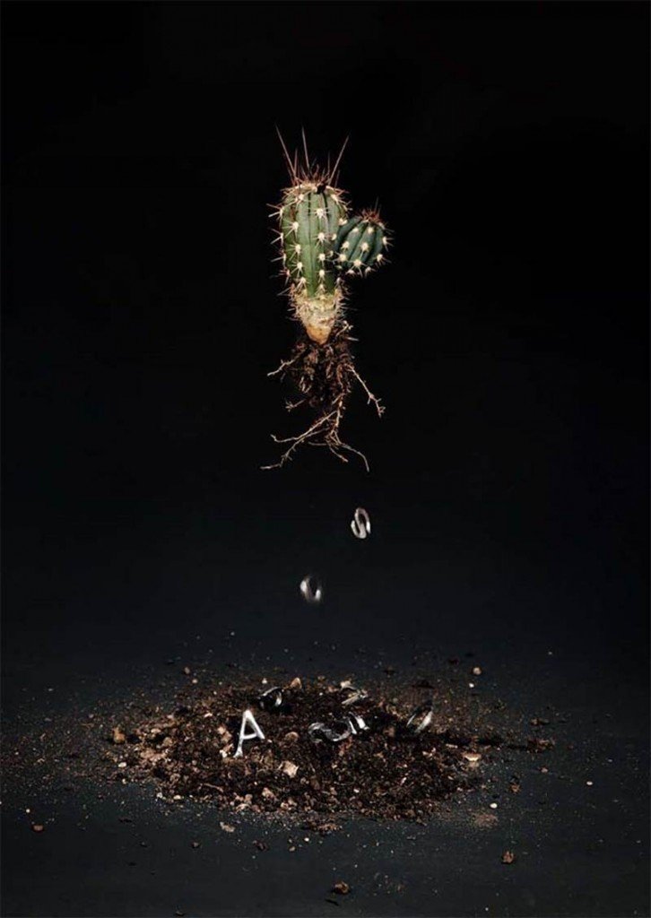 1454593803_SMET_DO__AN__Cactus__2012_Autos_Series_C_Print_120x90_cm