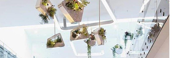 Green Mobiles