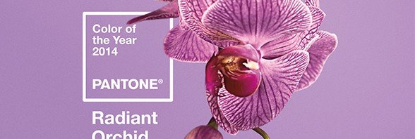 Pantone 2014’ün Rengini Açıkladı: Orkide Moru