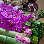 selin saral inside flowers.jpg 1