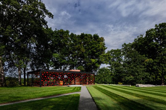 PHILIP Johnson ve YAYOI Kusama buluşması