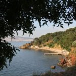 değirmenburnu tabiat parkı