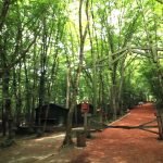 ırmak tabiat parkı